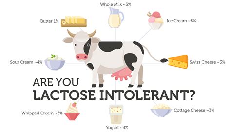 Did You Know DNA Determines Your Risk Of Lactose Intolerance Did You