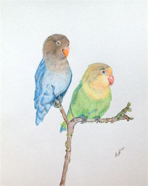 Love Birds Drawing Pratice By Jigglyits On Deviantart Love Birds