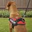 Julius K9 IDC Powerharness Dog Harness Red Size 2  Chewycom