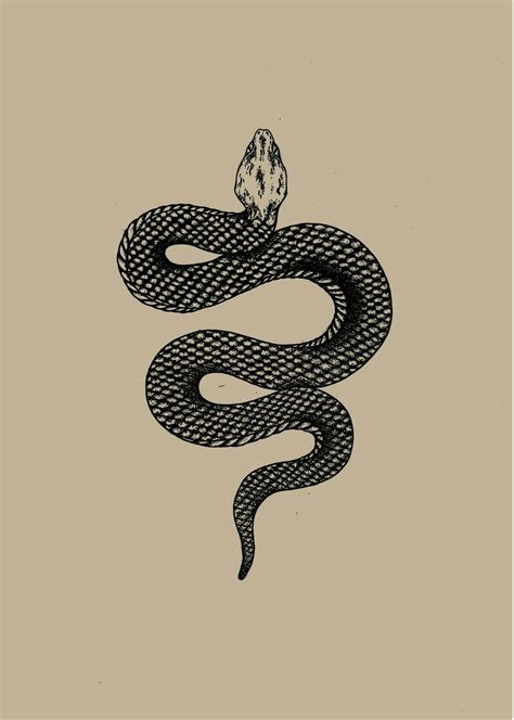 Pin By Wild Random On Art Snake Tattoo Design Snake Tattoo