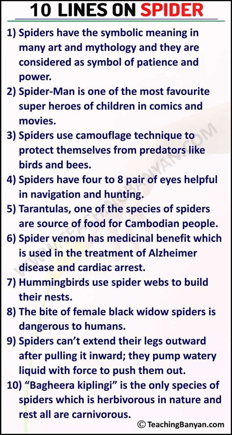 10 Lines On Spider For Children And Students Of Class 1 2 3 4 5 6
