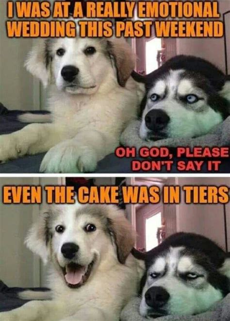 Pin By Melissa Skewes On Very Punny Funny Dog Jokes Funny Animal
