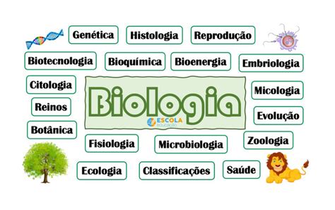 Os 5 temas de Biologia mais cobrados no Enem Saiba quais são