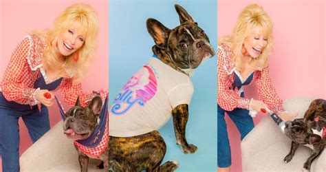 Dolly Parton Launches Doggy Parton Pet Apparel Line My Love For Pets