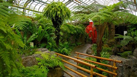 Montreal Botanical Garden In Montreal Quebec Expedia