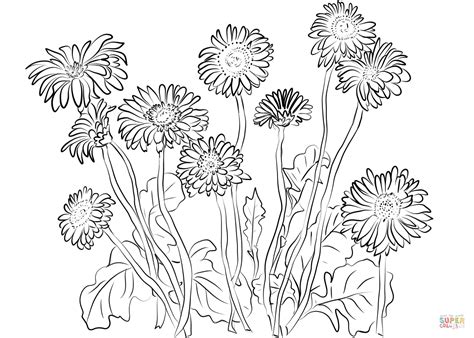 Gerbera Daisy Coloring Page Coloring Pages