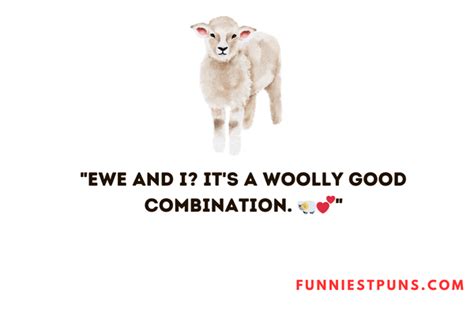 Funny Lamb Puns And Jokes