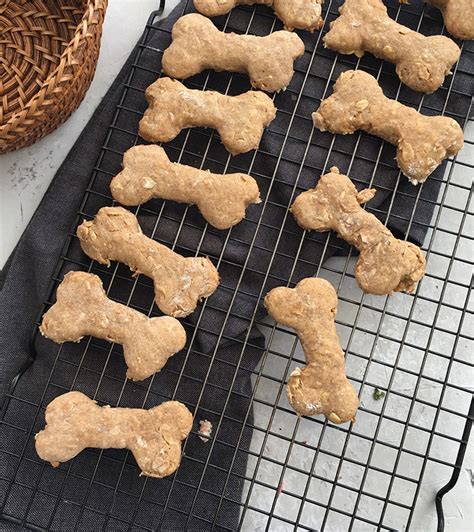 Peanut Butter Oatmeal Dog Treats Recipe Diaries