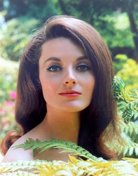 Picture Of Celeste Yarnall