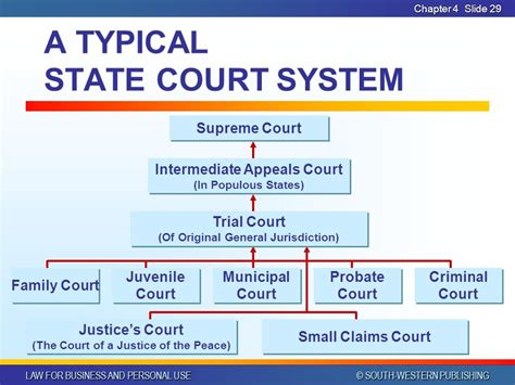 State Court System Diagram Quizlet