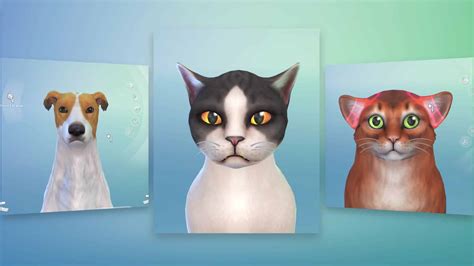 The Sims 4 Cats Dogs Create A Pet Official Gameplay Trailer 324 Sims