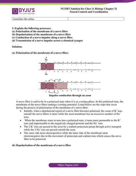 Ncert Solutions Class 11 Biology Chapter 21 Neural Control And