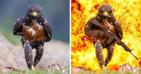 12 Funniest Photoshop Battles Photos Will Make Your Day Reckon Talk