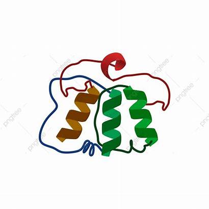 Recombinant Protein Dna Colorful Clipart Biology Science