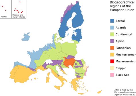 Европейският съюз е международна организация, обединяваща 27 европейски държави. File:European Union biogeography countries.svg - Wikimedia Commons