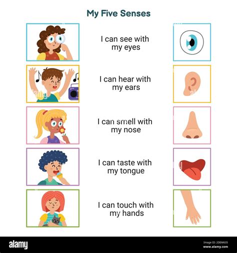 My Five Senses Educational Poster For Kids Sight Hearing Smell