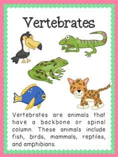 Snowflake coloring pages insect coloring pages chibi coloring pages coloring pages winter santa coloring pages printable christmas coloring pages christmas worksheets preschool coloring pages unicorn coloring pages. Invertebrate and Vertebrate Picture Sort | Environmental ...