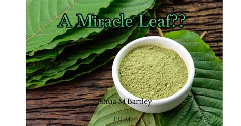A Miracle Leaf Indiegogo