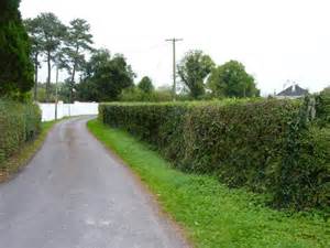 Trimmed Hedges © James Allan Cc By Sa20 Geograph Ireland
