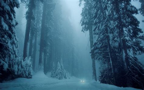 Snowy Forest At Night Wallpapers Top Free Snowy Forest At Night Backgrounds Wallpaperaccess