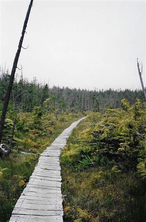 Your Guide To Trekking The Epic West Coast Trail On Vancouver Island