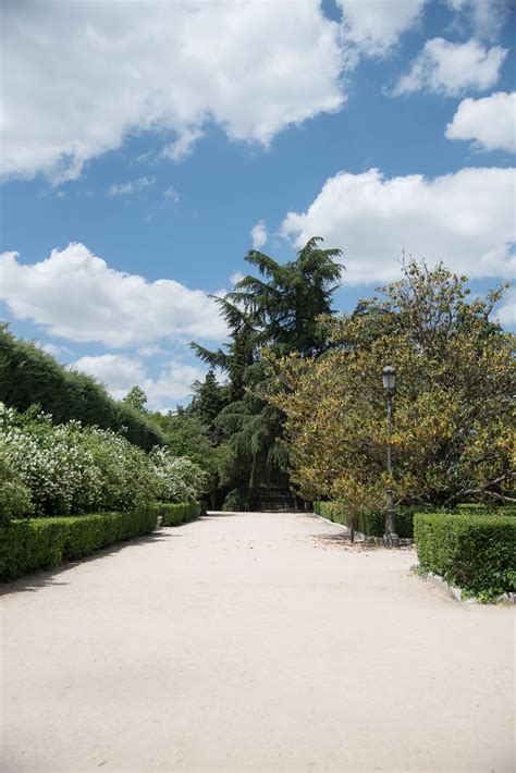 Garden Dreamer Sabatini Gardens Madrid Spain — Rose And Ivy