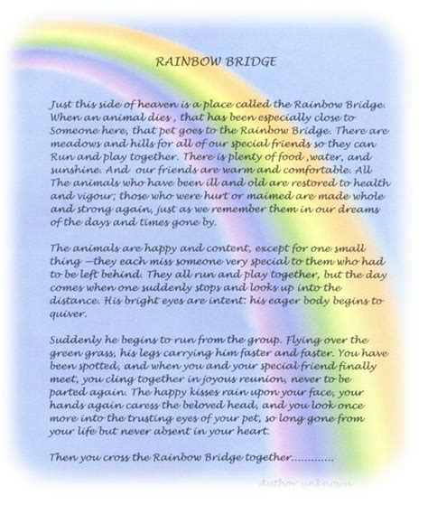 Again, nobody experiences grief in the same way, but print the rainbow bridge poem out. The Rainbow Bridge Poem | Rainbow bridge poem, Rainbow ...