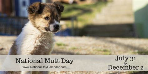 National Mutt Day July 31 And December 2 National Mutt Day National