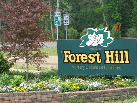Forest Hill Tourism And Travel Best Of Forest Hill La Tripadvisor