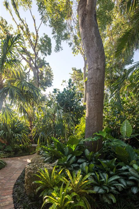 Secret Garden Tropical Landscape Miami By Craig Reynolds