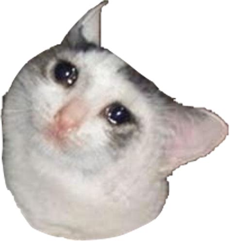 93 Transparent Crying Cat Meme Face