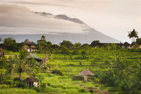 This Village In East Bali Is Becoming The Islands Most Popular Day