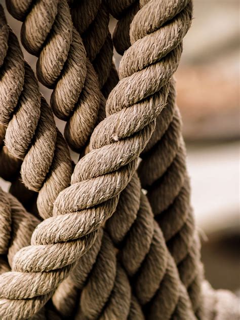 Rope Closeup Background Free Stock Photo Public Domain Pictures