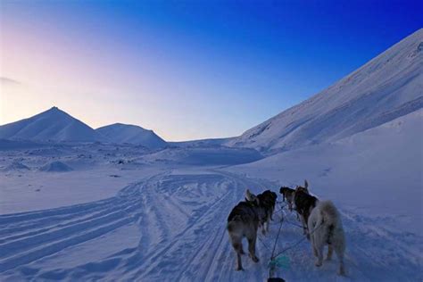 Dog Sledding And Ice Caves In Svalbard Tour Review And Tips