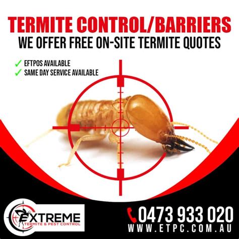 Termite Control Treatments Extreme Termite And Pest Control