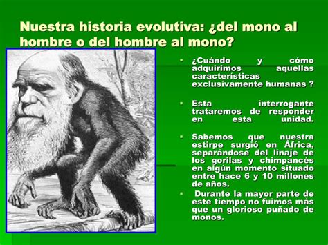Ppt Nuestra Historia Evolutiva ¿del Mono Al Hombre O Del Hombre Al Mono Powerpoint