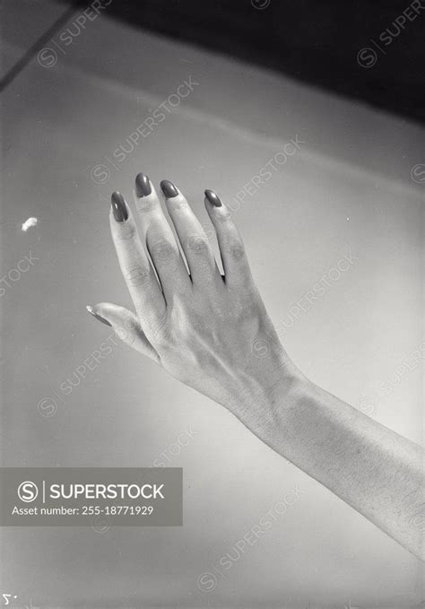 Vintage Photograph Hand With Painted Fingernails Model Released Superstock