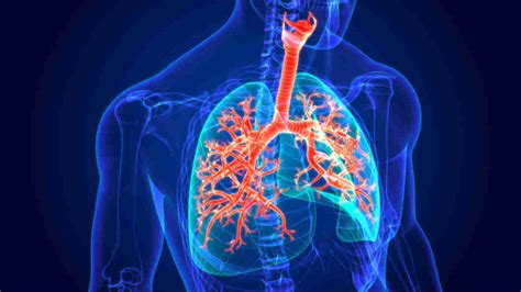 Respiratory Diseases Symptoms Causes Types Treatment And Prevention