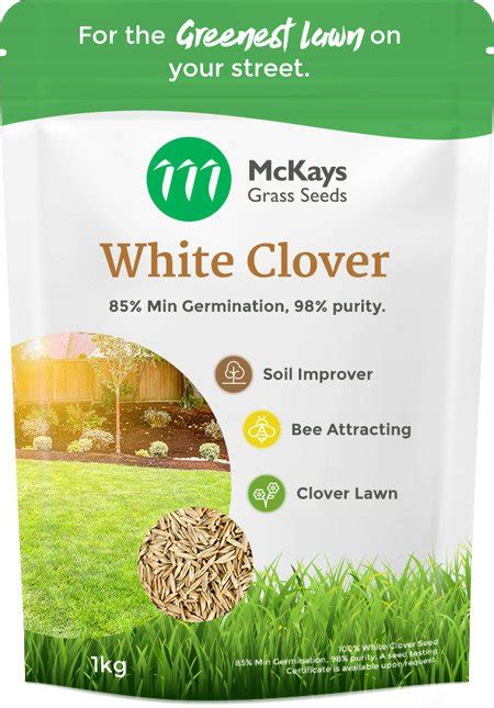 White Clover Mckays Grass Seeds
