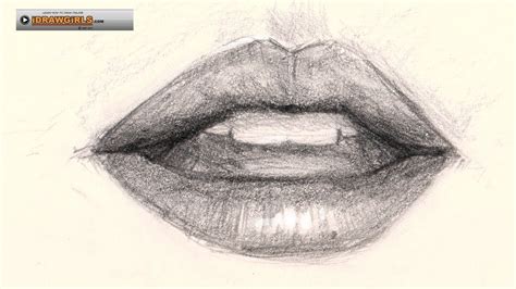 Use the center line for your guide as you sketch out the top and bottom lining for the lips or mouth. 12-minute video tutorial on drawing female lips. | Lips ...