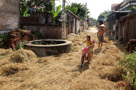 Bức Tranh Toàn Cảnh Về Văn Hóa Làng Vùng đồng Bằng Bắc Bộ