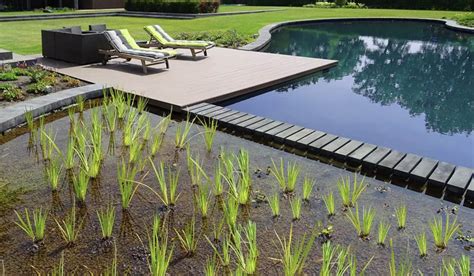 Les différents types de piscine naturelles