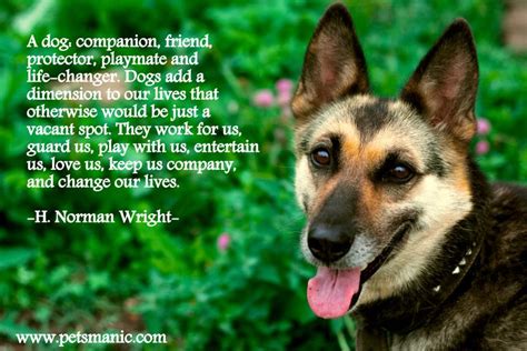 Pets Manic Blog Dog Quotes Dog Lover Quotes Dogs