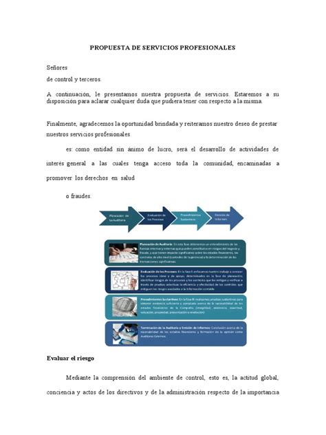 Propuesta De Servicios Profesionales Pdf Auditoría Presupuesto