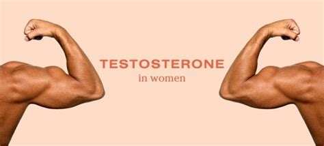 What Is Testosterone And How It Affects Woman Hormona