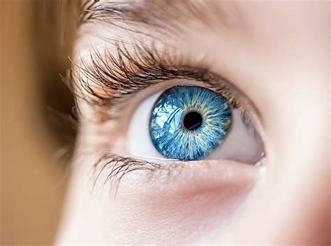 Eye Stock Photos Pictures And Royalty Free Images Istock