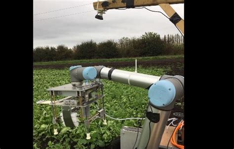 Vegebot Lettuce Harvesting Robot With Machine Learning Robotic Gizmos