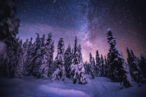 Snowy Trees At Night Snowy Trees At Night In Backcountry W Flickr