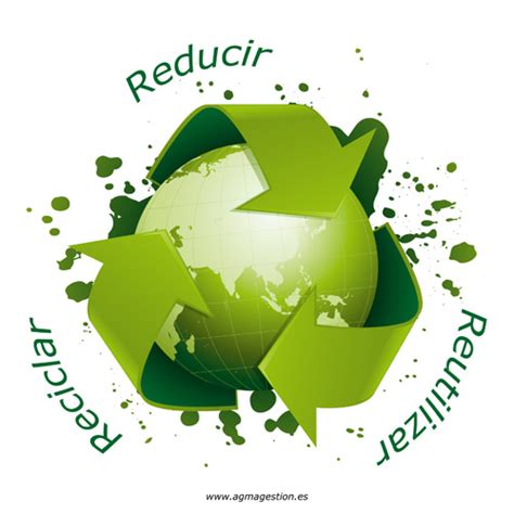 Reciclaje Qué Es Y Cómo Beneficiarse De él Medio Ambiente