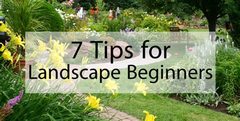 7 Tips For Landscaping Beginners Landscape Edging Blog